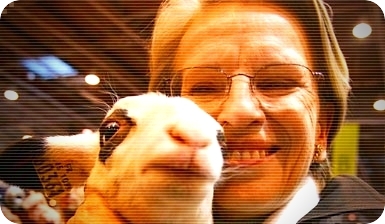 mamlapin