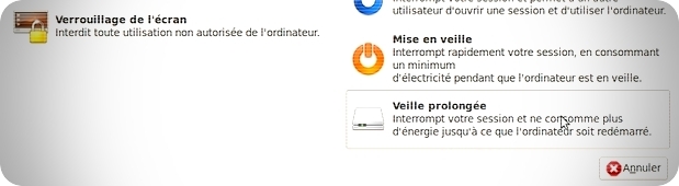 veille